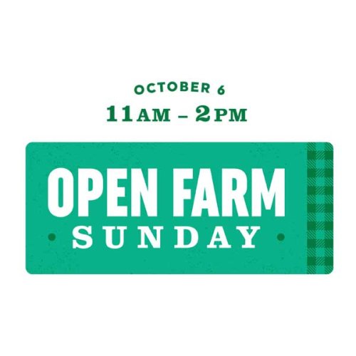 Open Farm Sunday at Foster Brothers Farm