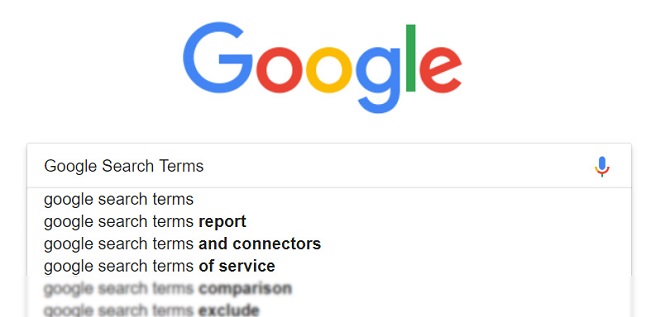 Google Search Basics