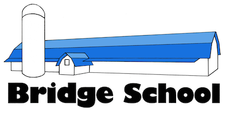 Bridge School Online Auction