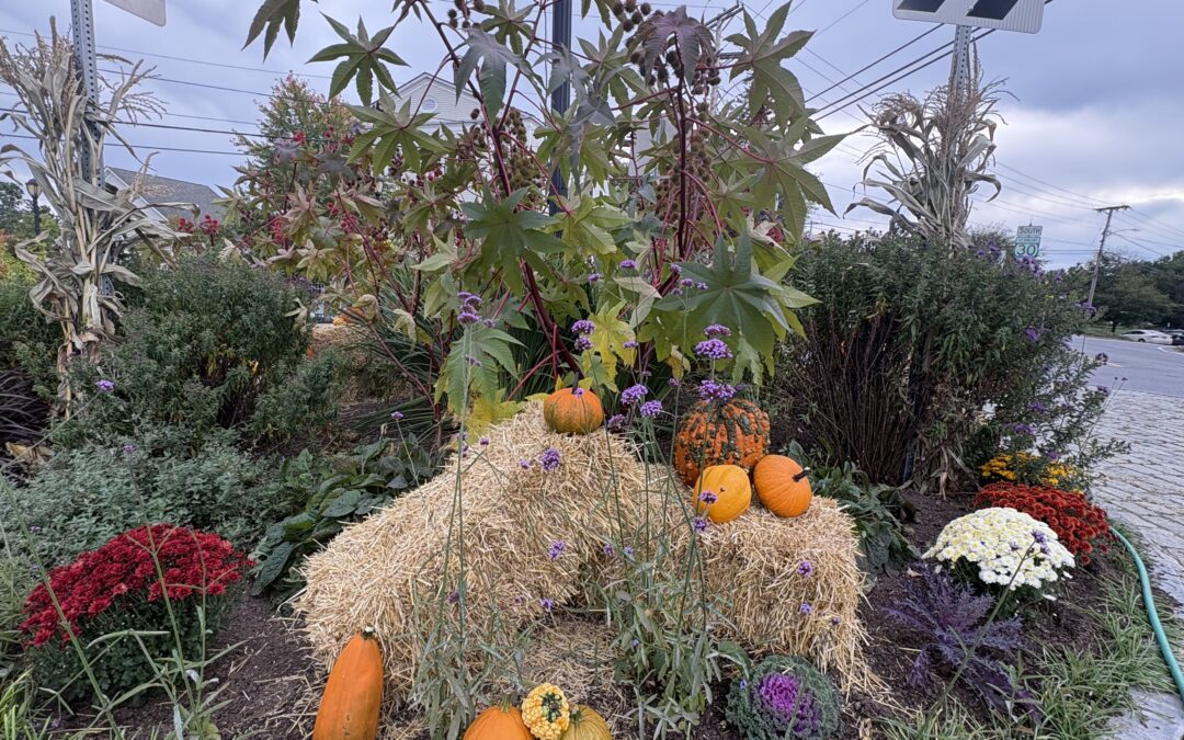 Seasonal Glory